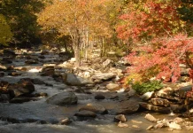 Jesucristo: Nuestro sacrificio