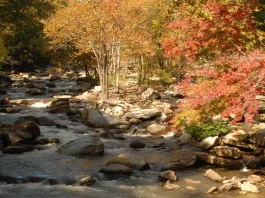 Jesucristo: Nuestro sacrificio