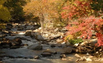 Jesucristo: Nuestro sacrificio