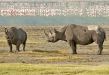 Conocer a Dios por medio de Jesucristo