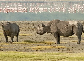 Conocer a Dios por medio de Jesucristo