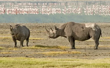 Conocer a Dios por medio de Jesucristo