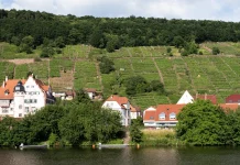 Cuando vengan las tormentas