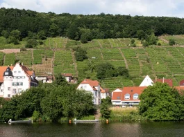Cuando vengan las tormentas