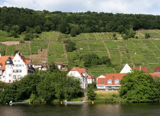 Cuando vengan las tormentas
