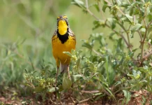 Cómo resistir las tormentas de la vida