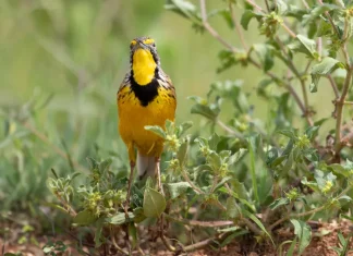 Cómo resistir las tormentas de la vida