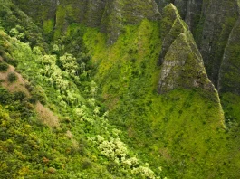 El Libro de los libros