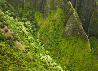 El Libro de los libros