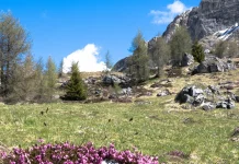 El juicio de los creyentes