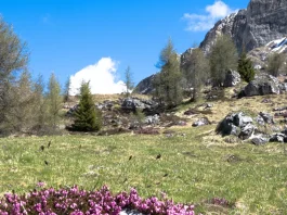 El juicio de los creyentes