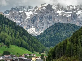 La limpieza del templo