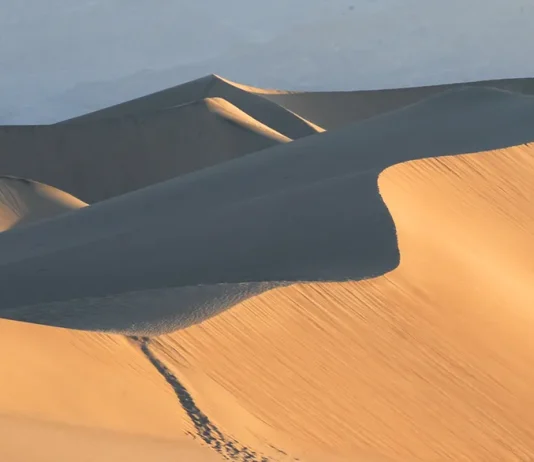 El Cordero de Dios