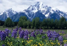 Cuando nos sintamos impotentes