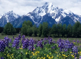 Cuando nos sintamos impotentes