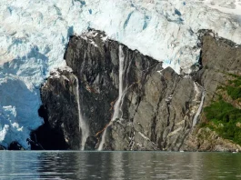 Cuando la duda está en acción