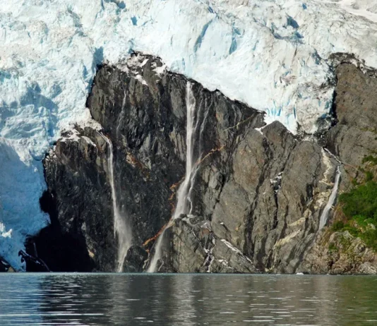 Cuando la duda está en acción