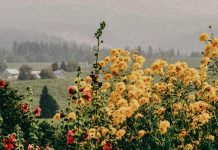 La perspectiva de Dios