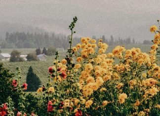 La perspectiva de Dios