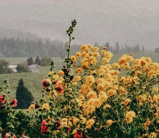 La perspectiva de Dios