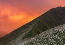 El honor de la humildad