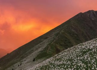 El honor de la humildad