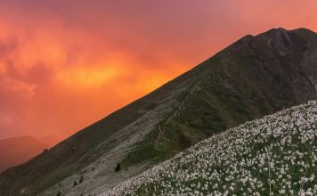 El honor de la humildad