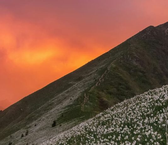El honor de la humildad