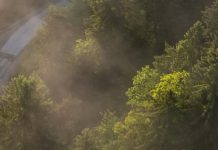 Amar a los demás en Jesús