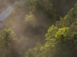 Amar a los demás en Jesús