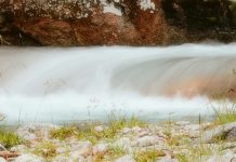 Profundamente arraigados en Dios