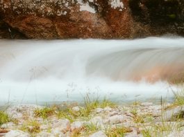 Profundamente arraigados en Dios