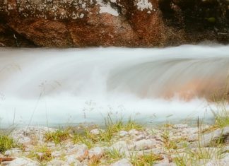Profundamente arraigados en Dios