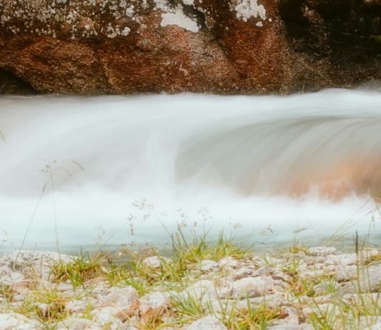 Profundamente arraigados en Dios