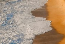 La mayor sorpresa de amor