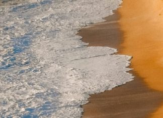 La mayor sorpresa de amor