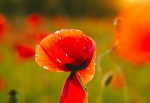 Una mamá mira atrás