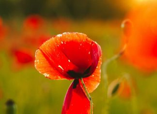 Una mamá mira atrás