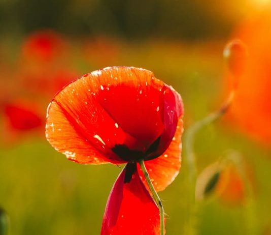 Una mamá mira atrás