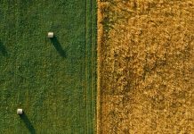 Gracia abundante de Dios