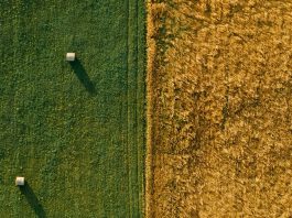 Gracia abundante de Dios