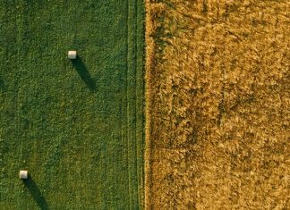 Gracia abundante de Dios