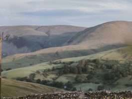 Amor digno de nuestra vida