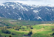 Paz en tiempos difíciles