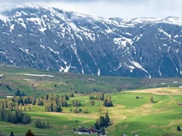 Paz en tiempos difíciles