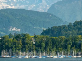 ¿Está afligido? ¡Alabe al Señor!