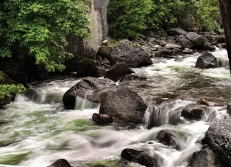 Una iglesia solidaria