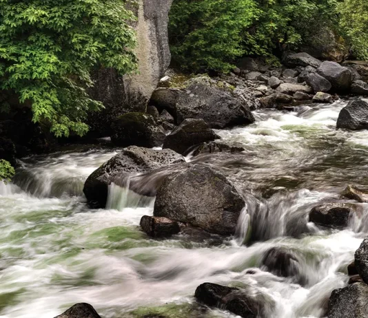 Una iglesia solidaria