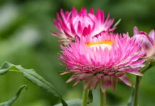 Cuando nos sintamos solos