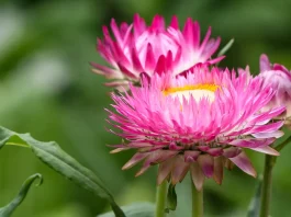 Cuando nos sintamos solos